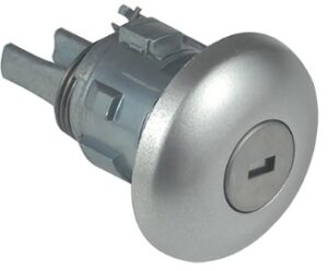 Bombin puerta Ford   1781417